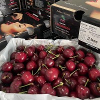 【顺丰快递】WVF澳洲皇家黎明车厘子 28-30mm、30-32mm、32-34mm三种规格可选 2kg/箱